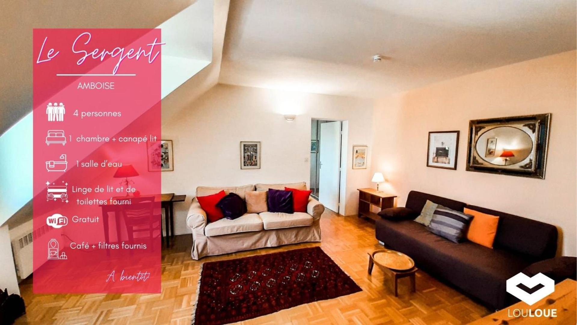 Spacious T2 Apt In City Center. Amboise Eksteriør bilde